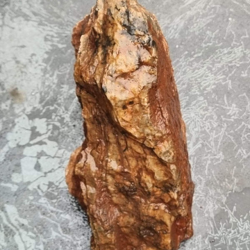 Petrified Wood Green1258g