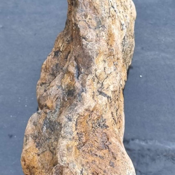 Stromatolite 4700 g