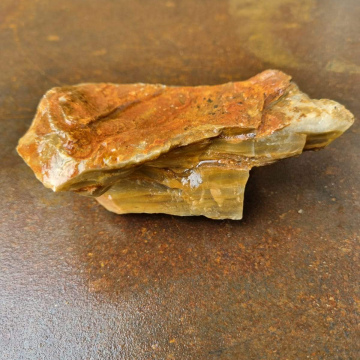 Petrified Wood Fish Tank small 392g