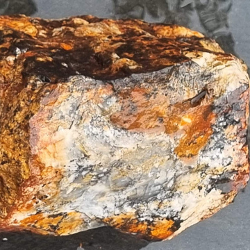 Petrified Wood Dendritic  Agate 3200g