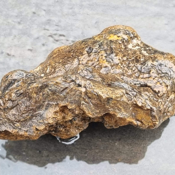 Stromatolite 2253 g