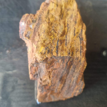 Petrified Wood Tiger Eye 750g