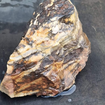 Petrified Wood Green 1573g