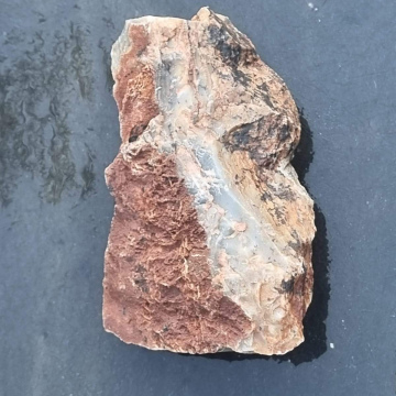 Stromatolite 645g