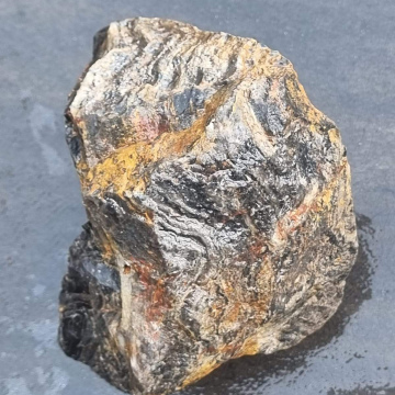 Stromatolite 1194g