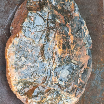 Jasperized Wood  20700g