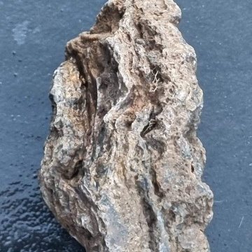 Stromatolite294g