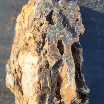 Stromatolite 3060 g