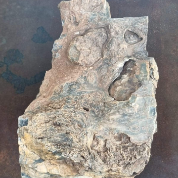 Stromatolite 22000g