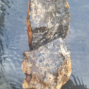 Dendritic Agate 3686g