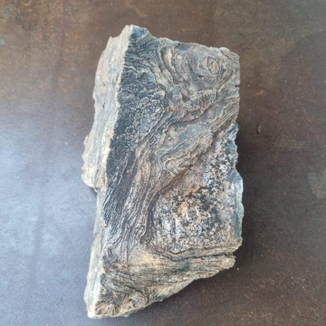 Petrified Wood Green 2845g