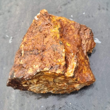  Stromatolite 2606g