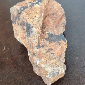 Stromatolite 1009g