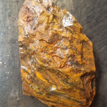 Petrified Wood Tiger Eye 547g