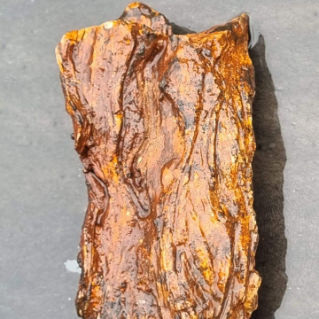 Stromatolite 1331 grams