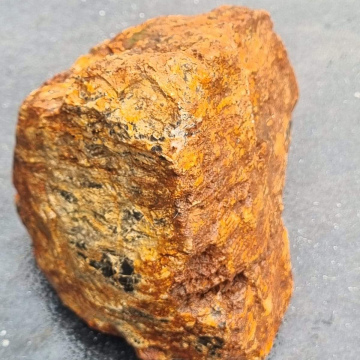 Stromatolite 984g