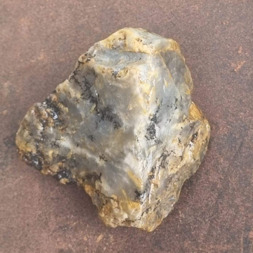 Petrified Wood Dendritic 398g