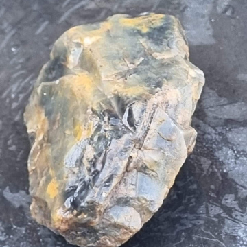 Petrified Wood Green 222g