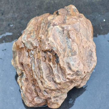 Petrified Wood Green 570g