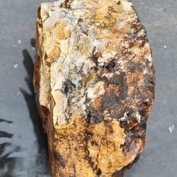 Dendritic Agate 1884g