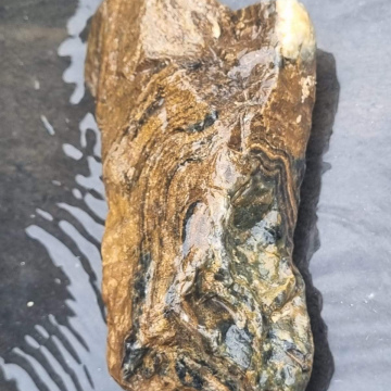 Stromatolite 1284g