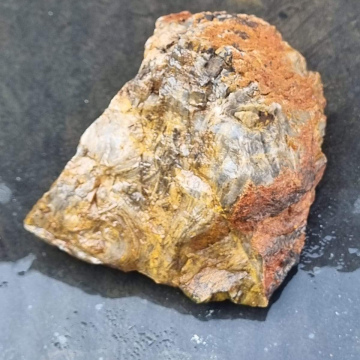 Petrified Wood Green 747g