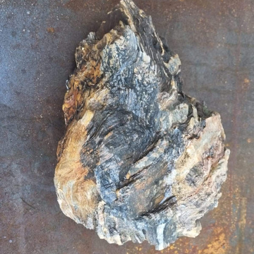  Petrified Wood Green 9  kg