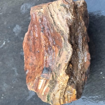 Stromatolite1293g
