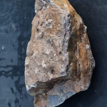 Stromatolite 441g