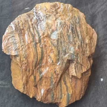 Petrified Wood Tiger Eye 232g