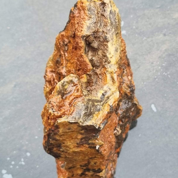 Stromatolite 1319g