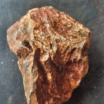 Stromatolite 478 g