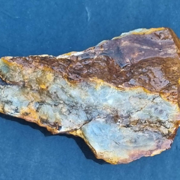 Petrified wood opalized  1729 grams