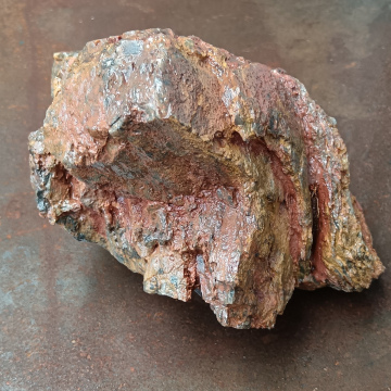 Stromatolite 2936 g