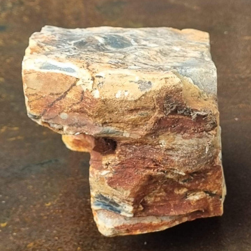 Stromatolite 1554g