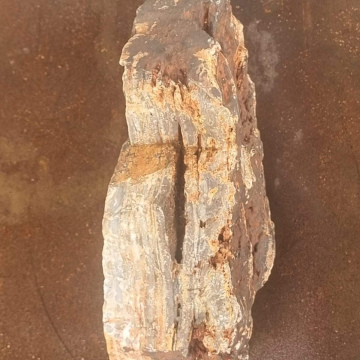 Petrified Wood Fish Tank medium 5kg