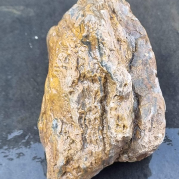 Stromatolite1358g