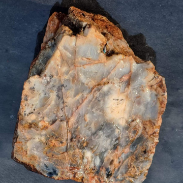 Petrified wood 1950 grams