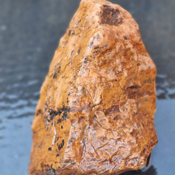 Petrified Wood 3395g