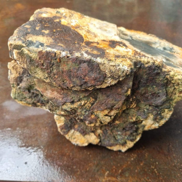 Petrified Wood Fish Tank medium 1603 g