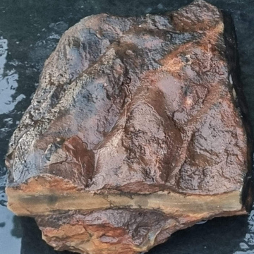 Stromatolite5600g