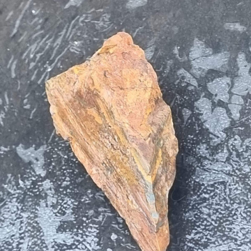  Petrified Wood Tiger eye 110g