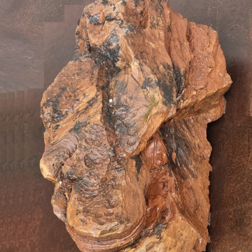 Stromatolite 13700 g