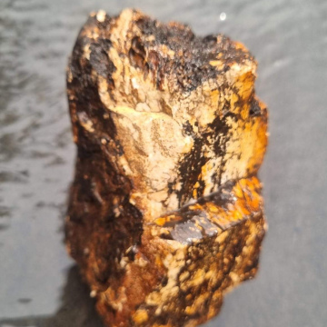 Petrified wood dendric agate 807g, 