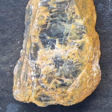 Petrified Wood Green 844g