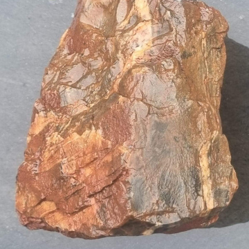 Jasperized wood Green 1567g