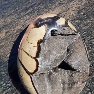 Septarian egg 1780g,