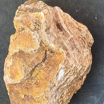 Stromatolite 986g