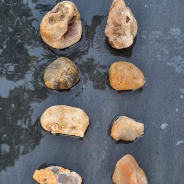 Agate Booster Pack 595 grams