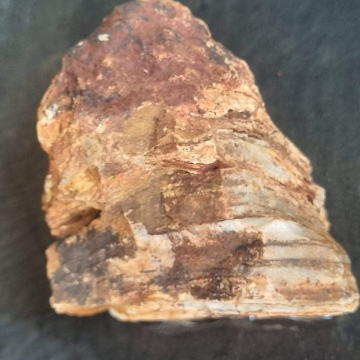 Stromatolite 945g